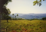 Blick in Richtung Berge