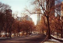 Central Park
